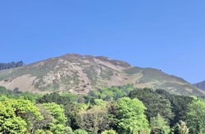 Photo 22- click for photo gallery